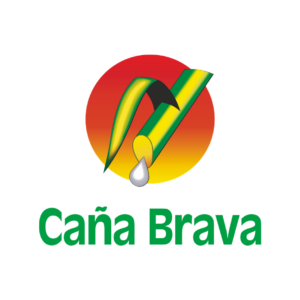 229340882 289239322997691 1112339884006174756 n